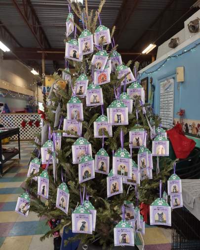 A Christmas tree with our furry friends ornament pictures