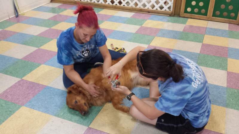 Two ladies sitting on checkered floor one cradling a golden retriever in her lap while the other trims the dog’s nails