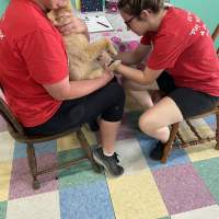 A woman holding a pomeranian in her arms as another trims his nails