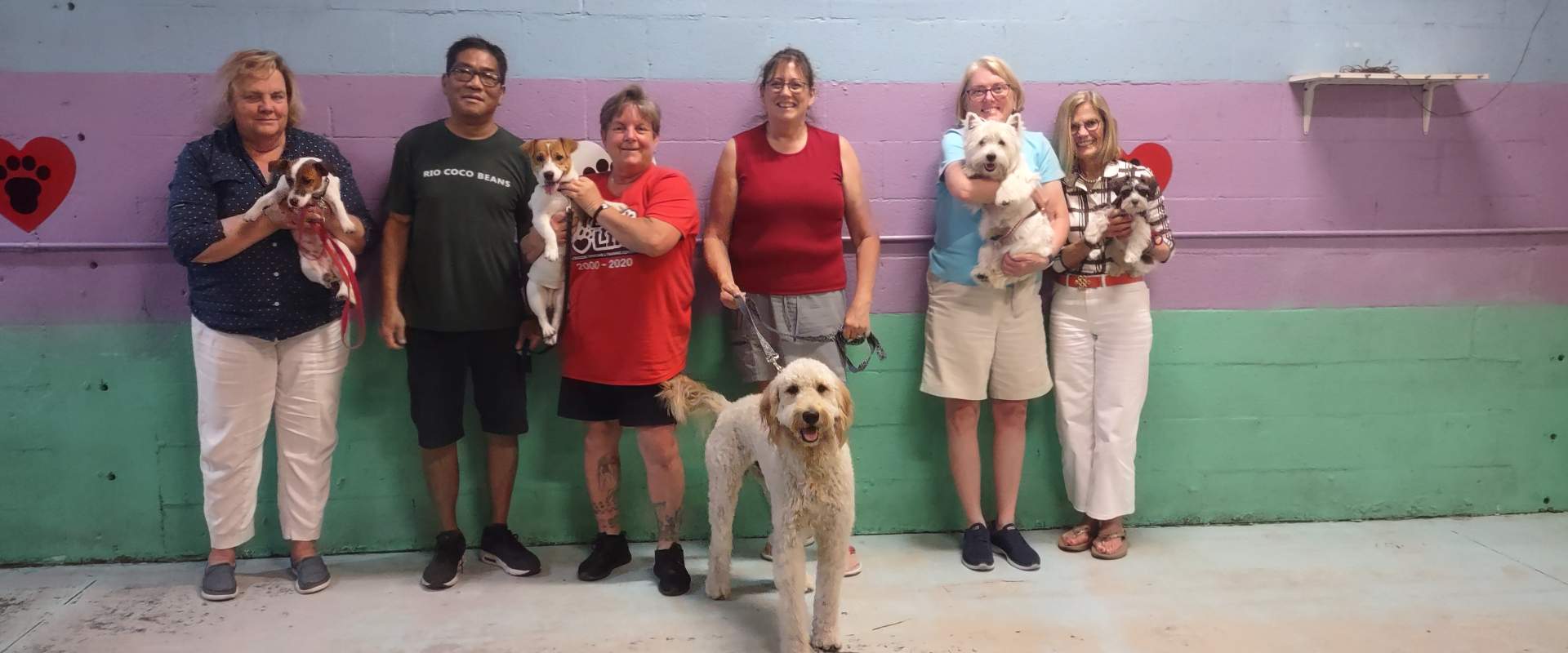 A class of 5 dogs with their parents and Cindy
