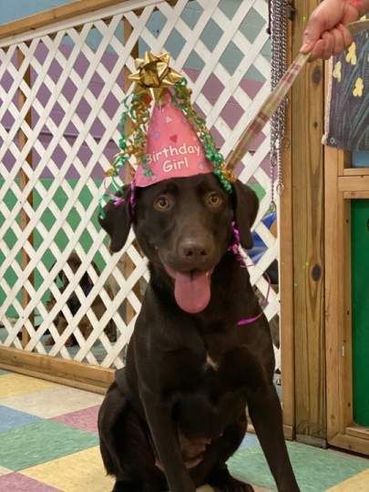 River's Birthday