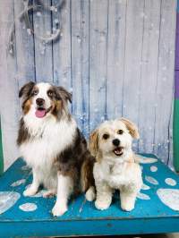 Tucker & Leia L